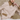 Women's Tang Jacket
